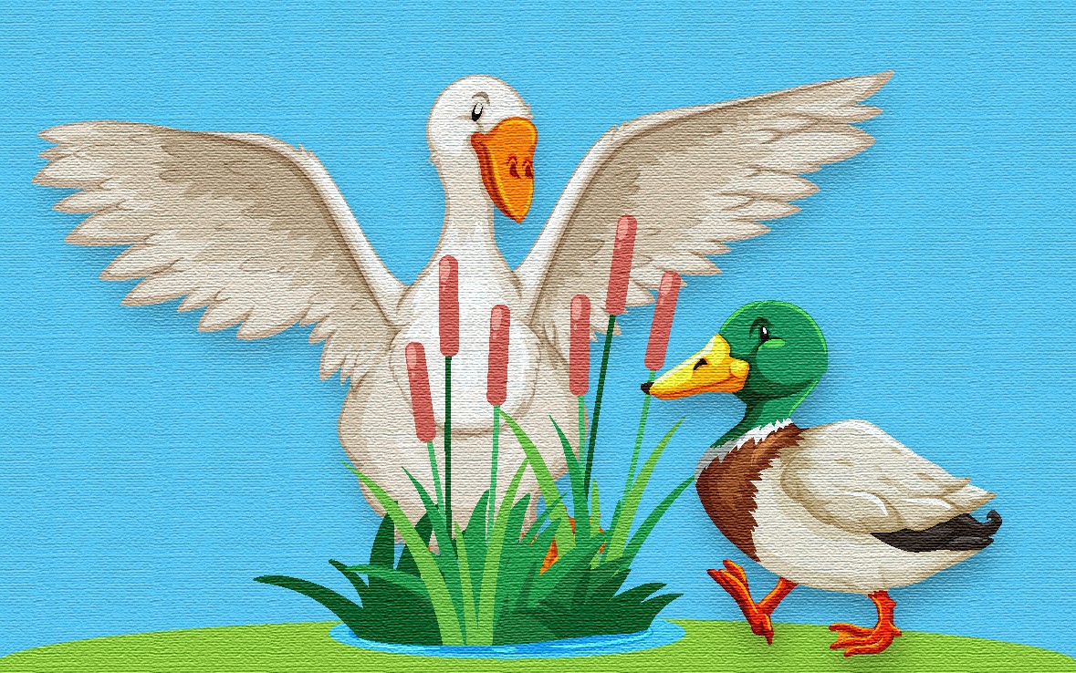 Eend en gans