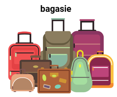 bagasie.png