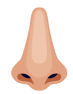 neus_oorganklik.png